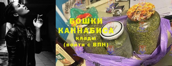 ПСИЛОЦИБИНОВЫЕ ГРИБЫ Белокуриха