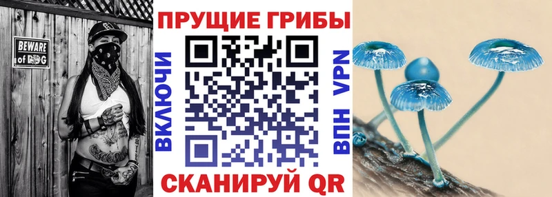 мега ONION  Гулькевичи  Галлюциногенные грибы GOLDEN TEACHER 